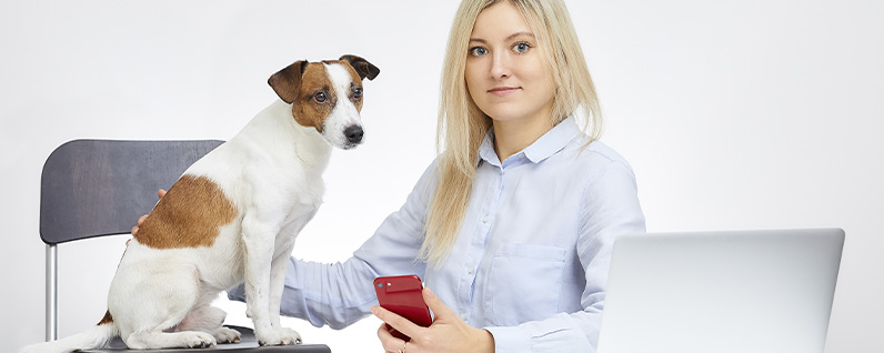 veterinária consultando aplicativo da Petkie para saber informações prévias do cachorro