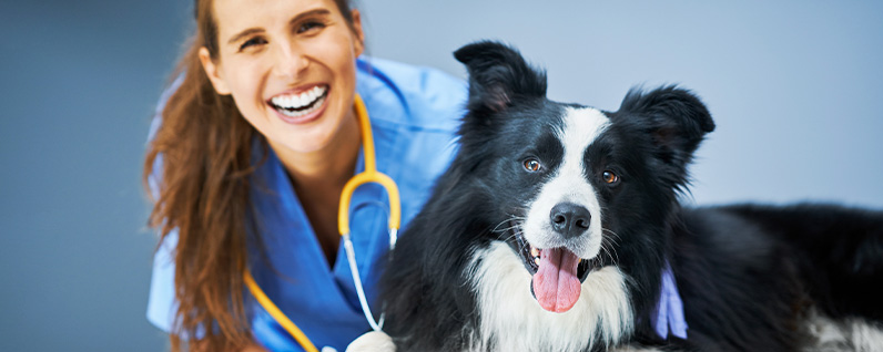 médica veterinária ao lado de um cachorro muito saudável